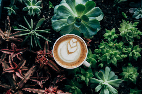 Great for Espresso