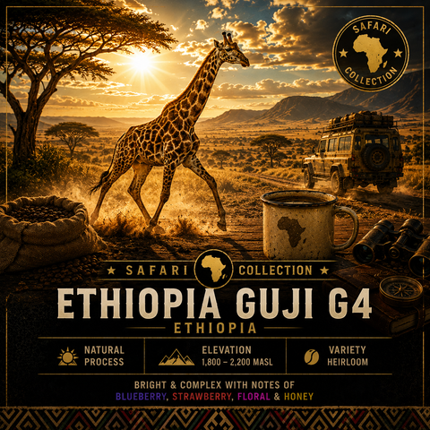 Ethiopia ~ Guji Organic Mormora Natural